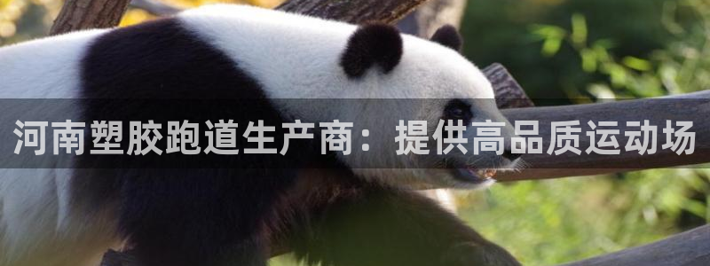谈球吧是正规平台吗：河南塑胶跑道生产商：提供高品质运