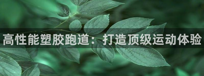 谈球吧是正规平台吗：高性能塑胶跑道：打造顶级运动体验