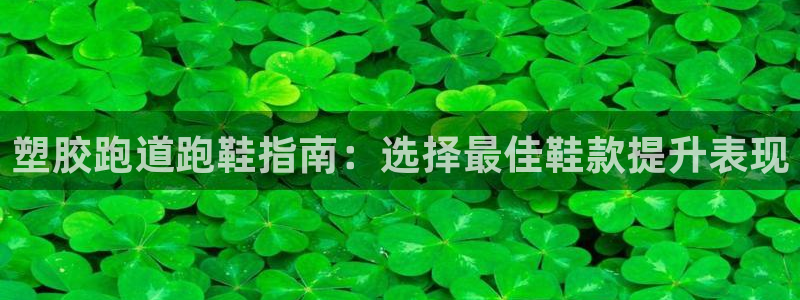 谈球吧在线登录免费观看：塑胶跑道跑鞋指南：选择最佳鞋款提升表现