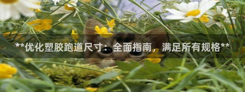 谈球吧网页版：**优化塑胶跑道尺寸：全面指南，满足所