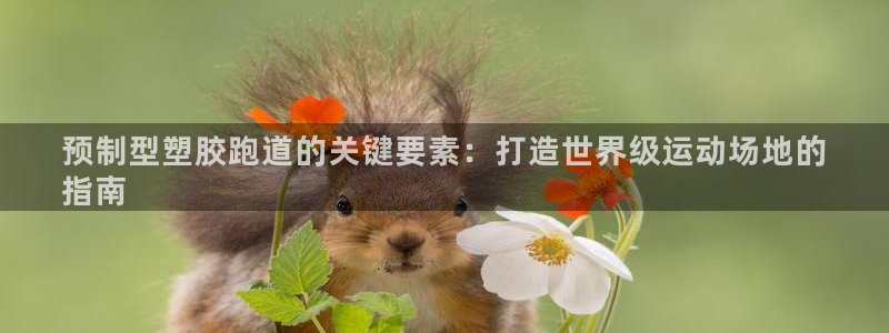 谈球吧官网在线入口手机版免费下载：预制型塑胶跑道的关