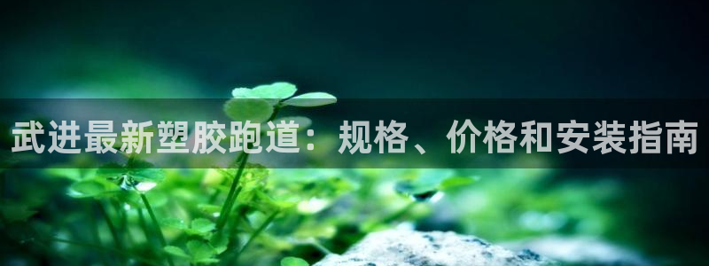 谈球吧平台：武进最新塑胶跑道：规格、价格和安装指南