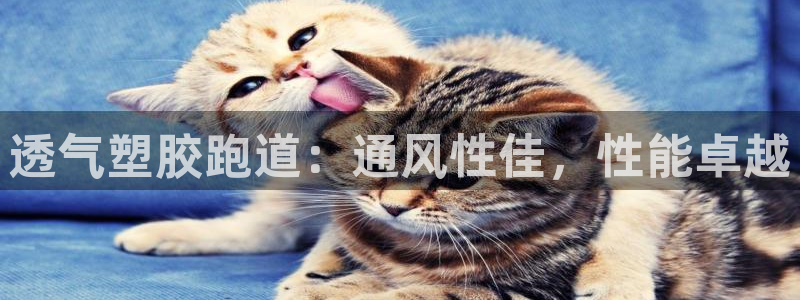 谈球吧最新APP下载：透气塑胶跑道：通风性佳，性能卓