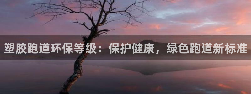 谈球吧网app官网下载：塑胶跑道环保等级：保护健康，