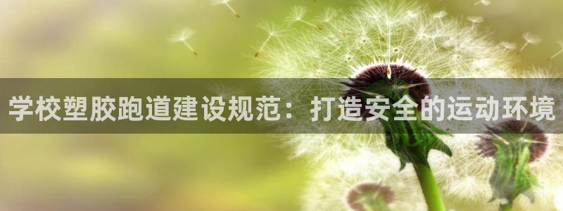 谈球吧的聊天软件下载：学校塑胶跑道建设规范：打造安全
