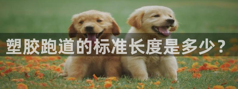 谈球吧是正规平台吗知乎：塑胶跑道的标准长度是多少？