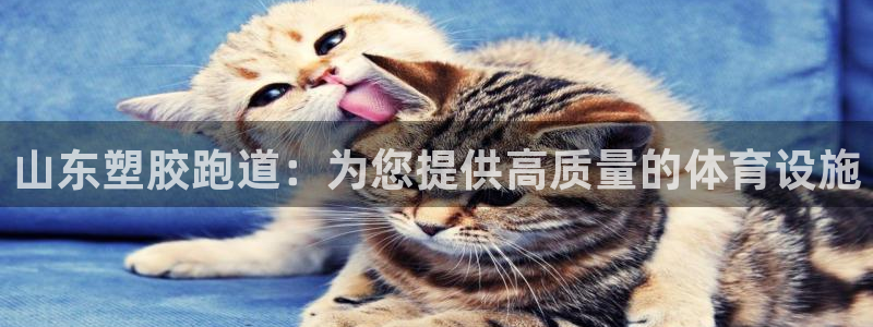 谈球吧在线登陆：山东塑胶跑道：为您提供高质量的体育设施