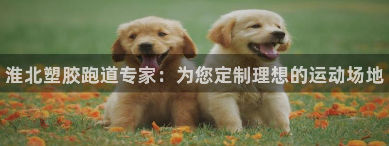 谈球吧平台app下载网址：淮北塑胶跑道专家：为您定制理想的运动场地