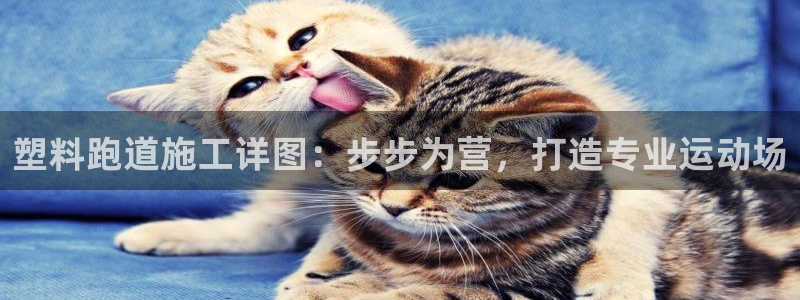 谈球吧的聊天软件有哪些：塑料跑道施工详图：步步为营，打造专业运动场
