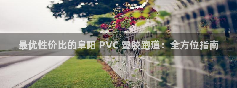 tqb谈球吧：最优性价比的阜阳 PVC 塑胶跑道：全方位指南