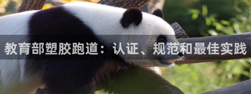 谈球吧app在哪里下载：教育部塑胶跑道：认证、规范和最佳实践