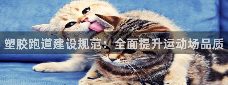 谈球吧买球靠谱吗：塑胶跑道建设规范：全面提升运动场品质