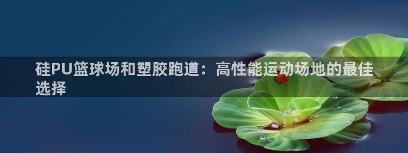 谈球吧娱乐app下载官网苹果手机：硅PU篮球场和塑胶跑道：高性能运动场地的最佳
选择
