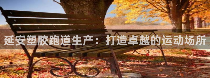 谈球吧网页登陆：延安塑胶跑道生产：打造卓越的运动场所