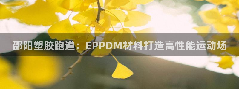 谈球吧登录地址：邵阳塑胶跑道：EPPDM材料打造高性