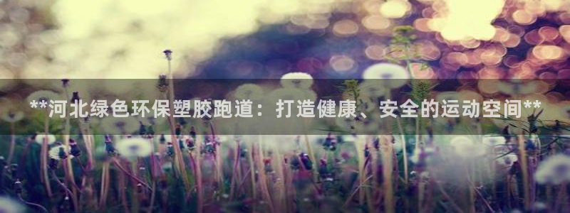 谈球吧app在哪里下载：**河北绿色环保塑胶跑道：打造健康、安全的运动空间**
