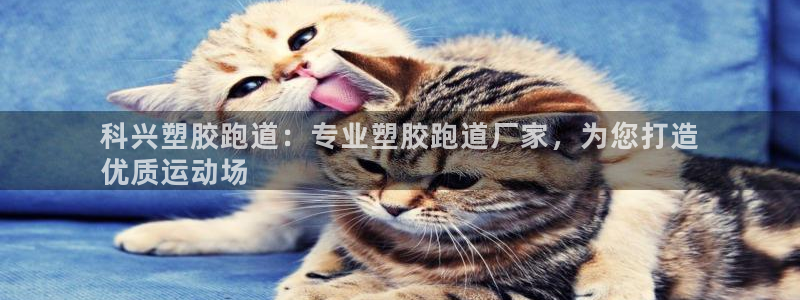谈球吧黑款不：科兴塑胶跑道：专业塑胶跑道厂家，为您打造
优质运动场