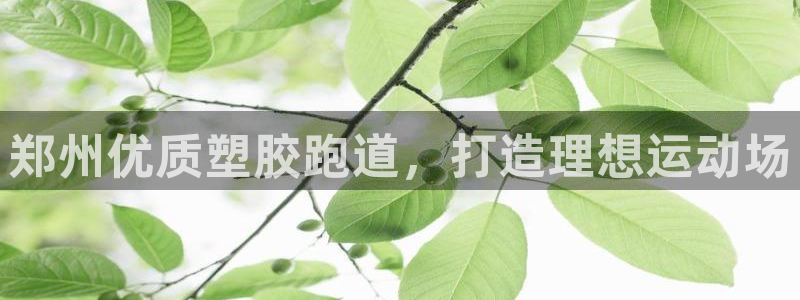 谈球吧：郑州优质塑胶跑道，打造理想运动场