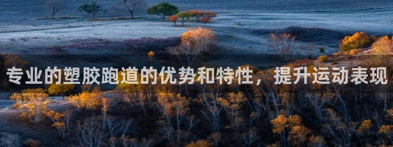 谈球吧官网在线入口手机版免费：专业的塑胶跑道的优势和特性，提升运动表现