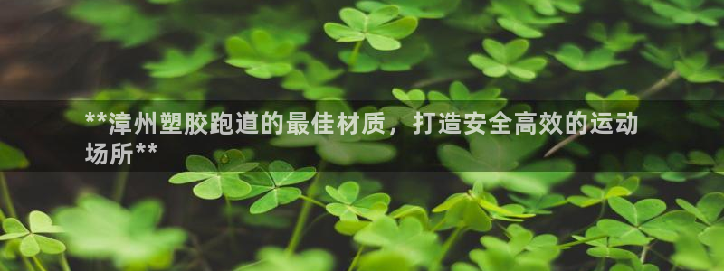 谈球吧官网在线入口网址：**漳州塑胶跑道的最佳材质，打造安全高效的运动
场所**