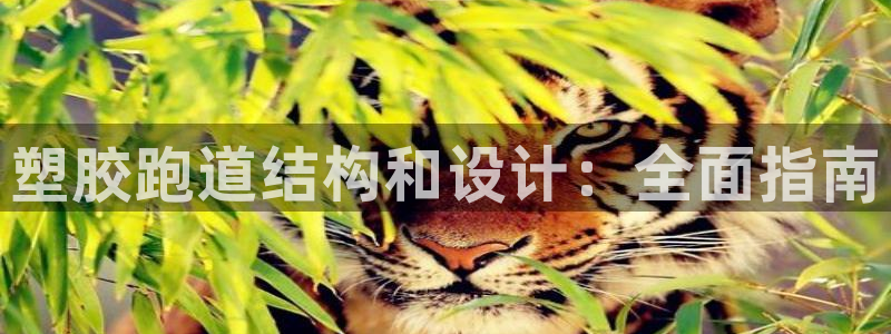 谈球吧平台正规吗可信吗安全吗：塑胶跑道结构和设计：全面指南