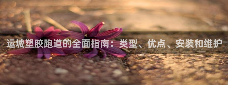 谈球吧红包激活码：运城塑胶跑道的全面指南：类型、优点、安装和维护