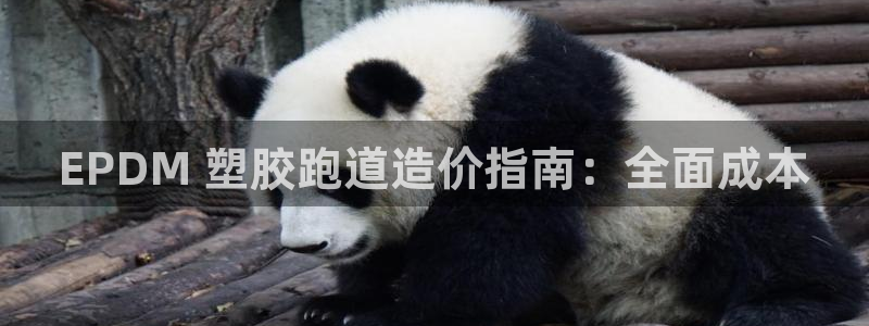 谈球吧平台app：EPDM 塑胶跑道造价指南：全面成本