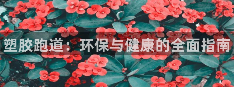 谈球吧官网在线入口手机版下载安装：塑胶跑道：环保与健康的全面指南