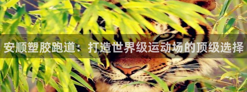 谈球吧官网入口在线观看：安顺塑胶跑道：打造世界级运动场的顶级选择