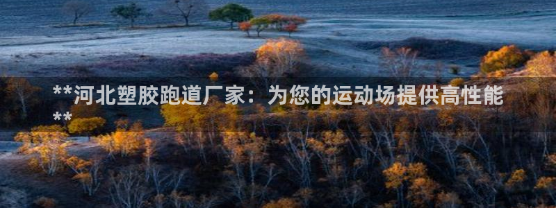 谈球吧下载