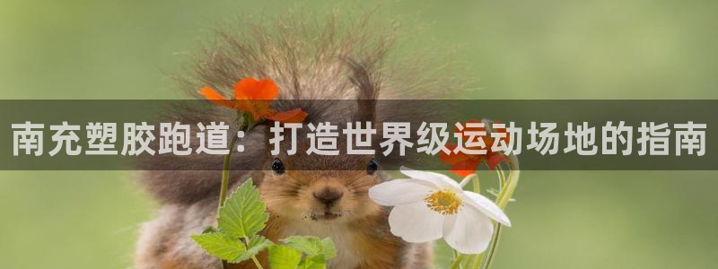 谈球吧体育app官网：南充塑胶跑道：打造世界级运动场