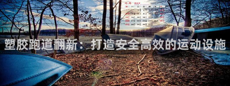谈球吧体育app登陆不了：塑胶跑道翻新：打造安全高效的运动设施