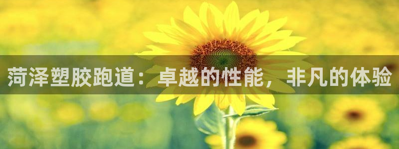 谈球吧官方网站：菏泽塑胶跑道：卓越的性能，非凡的体验
