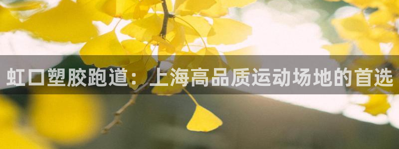 谈球吧app体育下载官网：虹口塑胶跑道：上海高品质运动场地的首选