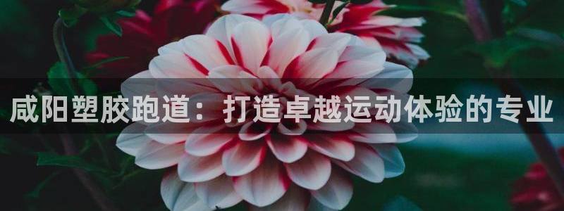 谈球吧入口：咸阳塑胶跑道：打造卓越运动体验的专业