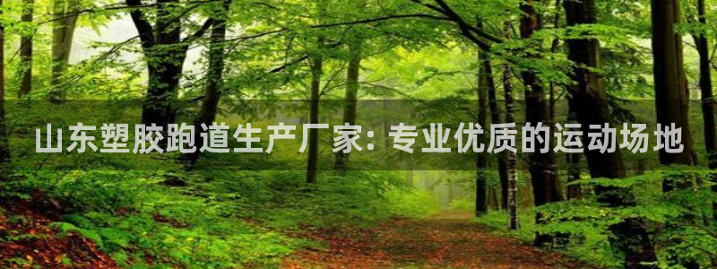 谈球吧买球是正规的吗：山东塑胶跑道生产厂家: 专业优质的运动场地