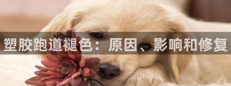 谈球吧体育官网入口：塑胶跑道褪色：原因、影响和修复