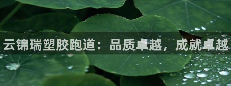 谈球吧体育官网在线入口：云锦瑞塑胶跑道：品质卓越，成就卓越