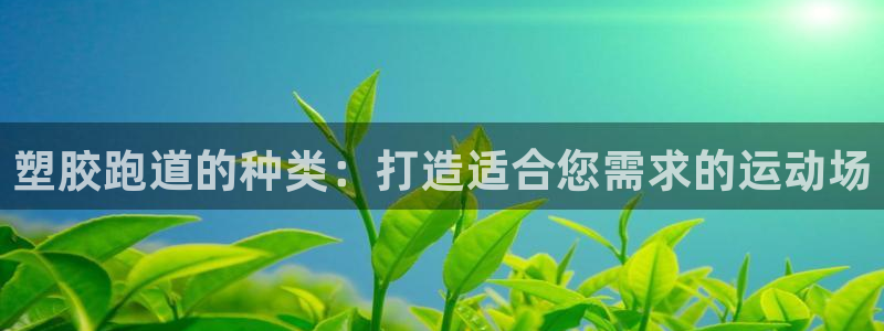 谈球吧体育综合：塑胶跑道的种类：打造适合您需求的运动场