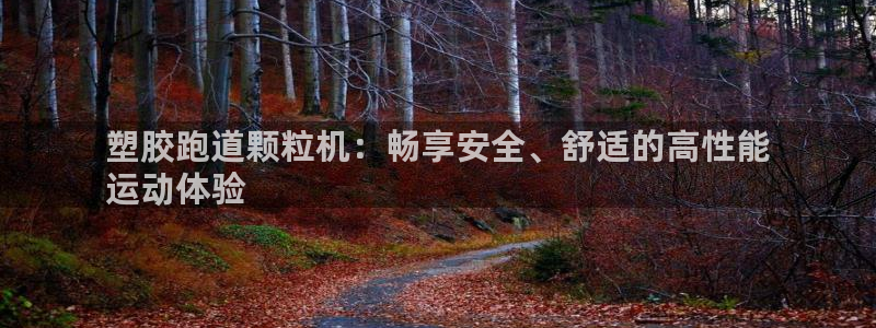 谈球吧体育app下载足球比赛：塑胶跑道颗粒机：畅享安全、舒适的高性能
运动体验