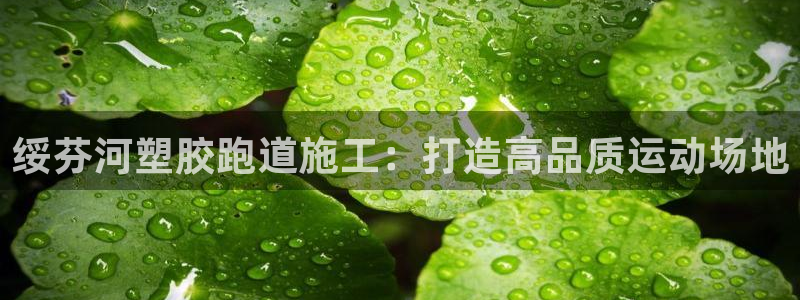 谈球吧的聊天软件下载：绥芬河塑胶跑道施工：打造高品质运动场地