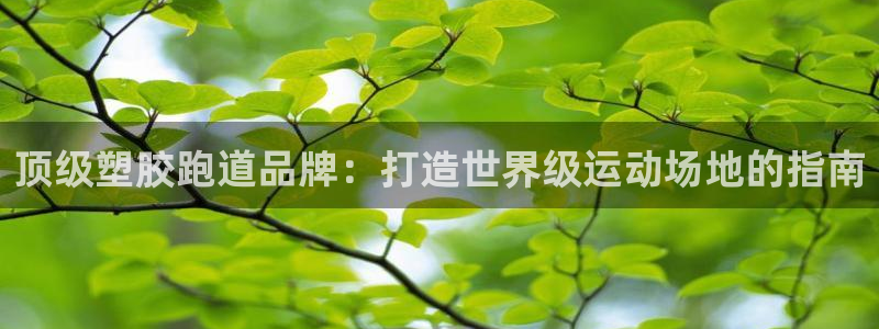 谈球吧官网下载：顶级塑胶跑道品牌：打造世界级运动场地的指南