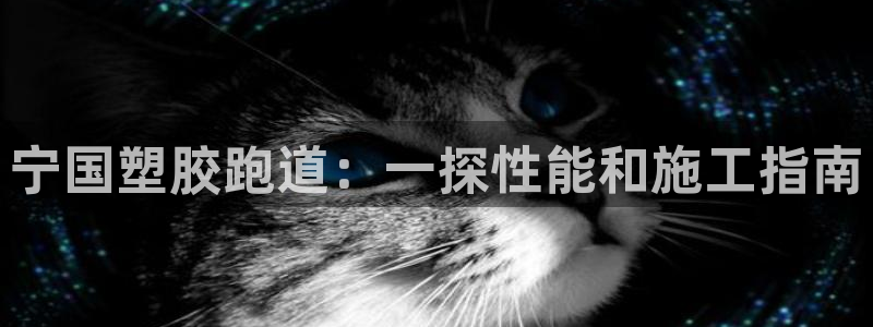 谈球吧在线：宁国塑胶跑道：一探性能和施工指南
