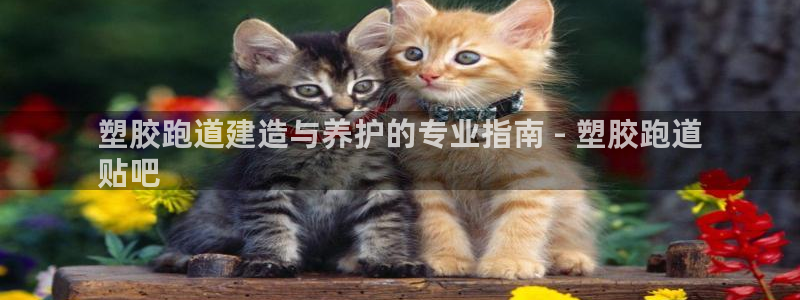 谈球吧app官网下载安卓：塑胶跑道建造与养护的专业指南 - 塑胶跑道
贴吧