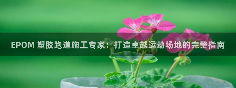 谈球吧黑款：EPOM 塑胶跑道施工专家：打造卓越运动场地的完整指南