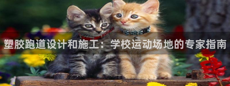 谈球吧官网在线入口免费观看视频下载：塑胶跑道设计和施工：学校运动场地的专家指南
