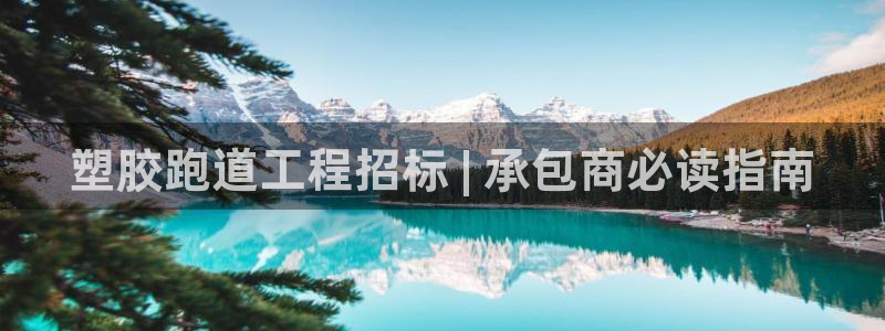 谈球吧网页版