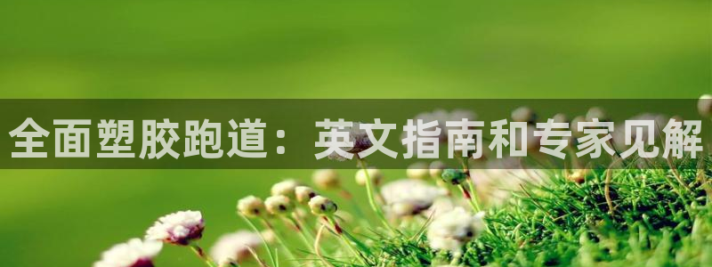 谈球吧打不开了：全面塑胶跑道：英文指南和专家见解