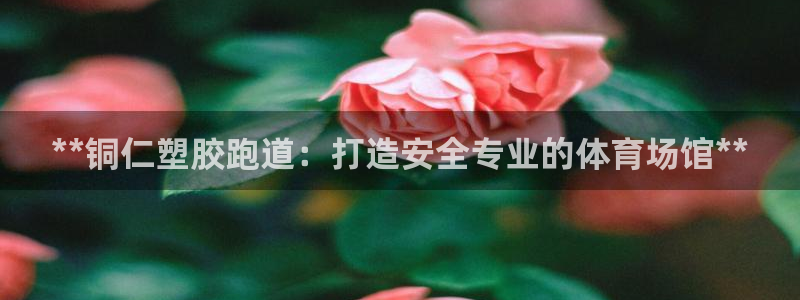 谈球吧app体育：**铜仁塑胶跑道：打造安全专业的体育场馆**