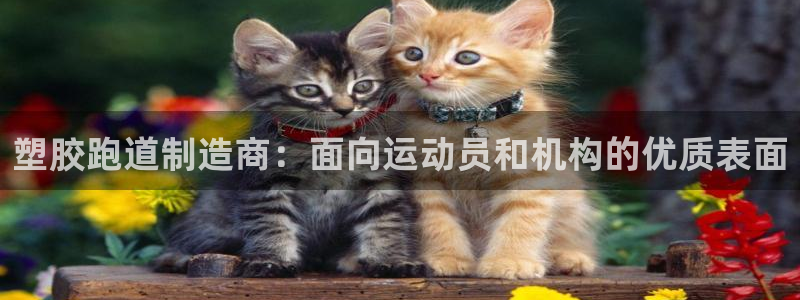 谈球吧网址：塑胶跑道制造商：面向运动员和机构的优质表面